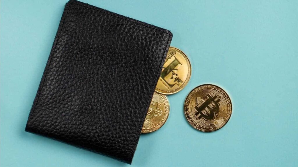 hot wallet vs cold wallet bluewallet